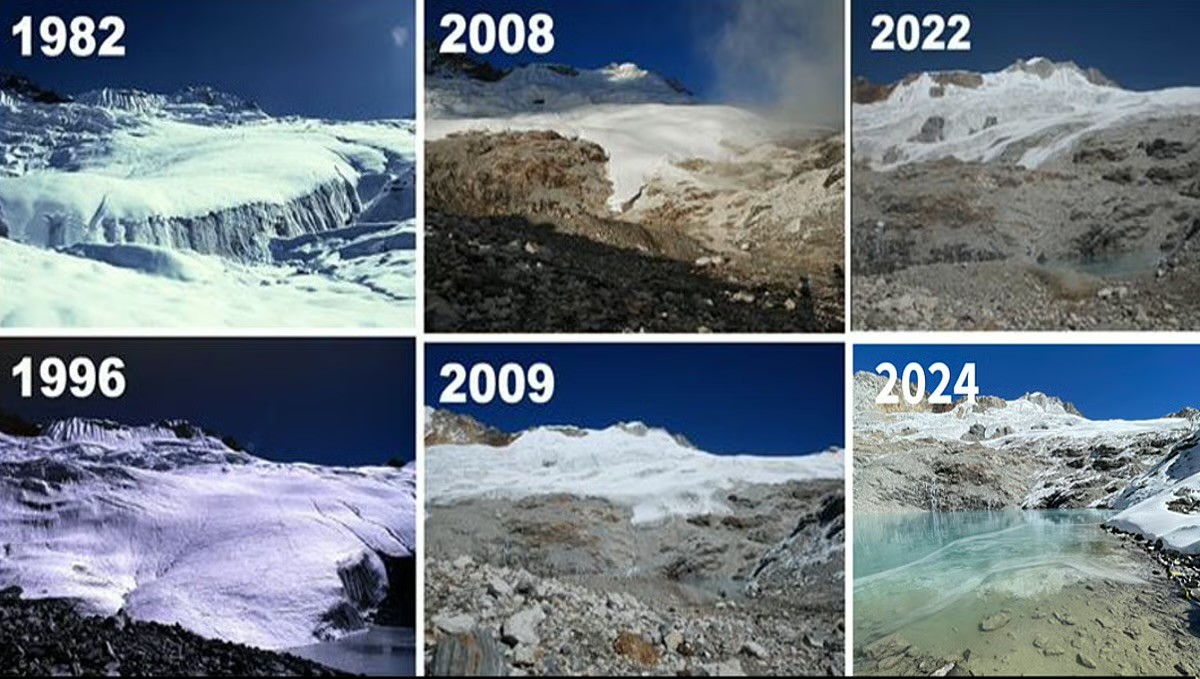 Yala glacier may vanish by 2040s