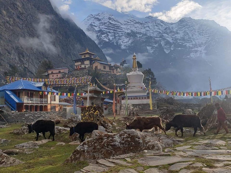 Discover the 10 Ultimate Trekking Secrets in Nepal